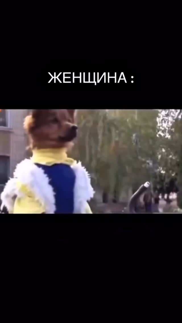 Изи Команда — услуги